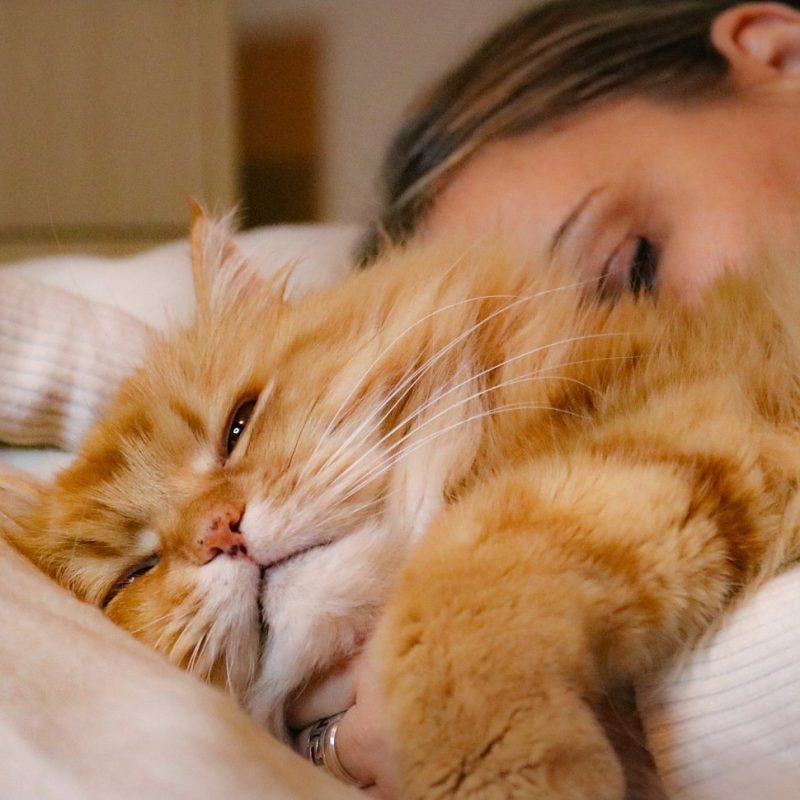 a-ginger-cat-and-a-woman-sleeping-2022-04-09-20-30-57-utc-min-r05rm1947n3w8imcei29gbgdpz39sdz91l8ebiky0w
